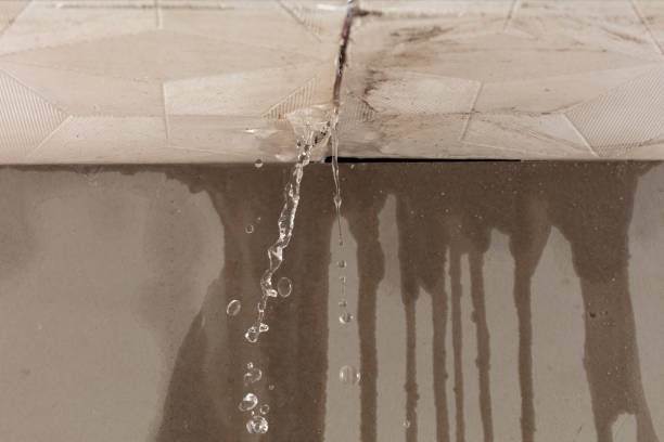 Professional Burst Pipe Cleanup technician working in Troy, PA
